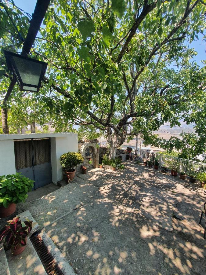 Riva Guest House Gjirokastër Dış mekan fotoğraf