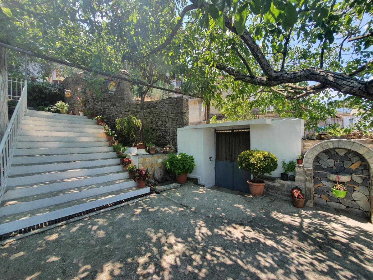 Riva Guest House Gjirokastër Dış mekan fotoğraf